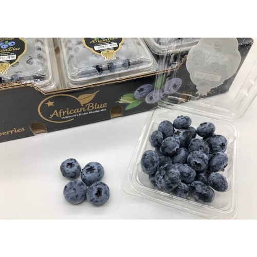 Jumbo Blueberries Singapore: Jumbo Blueberries: The Perfect Gift