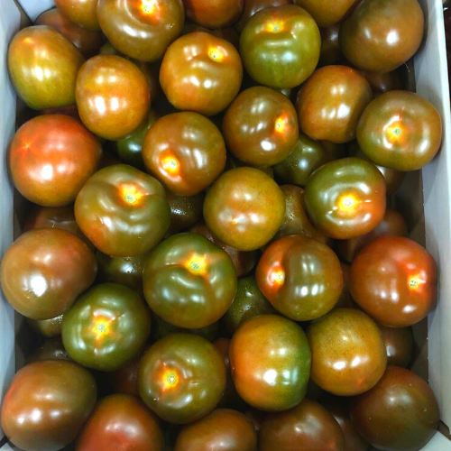 Kumato Brown Tomato 500g Fresh Collective