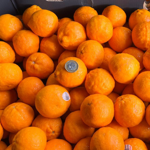 Summerina Mandarin Oranges (1kg) Fresh Collective