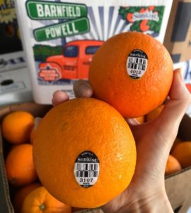 Sunkist Barnfield Navel Orange 3107 (1 Carton; 72pcs) – Fresh Collective