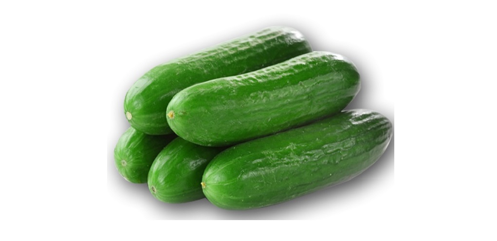 Lebanese Cucumber (1pack) – Fresh Collective