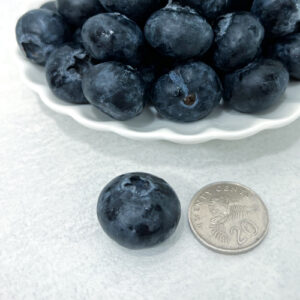 MomoBud - Premium Fruits & Gifts - Crunchy Jumbo Blueberries are